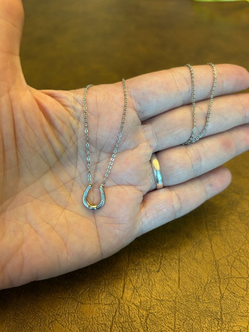 Sterling Silver Horseshoe Necklace